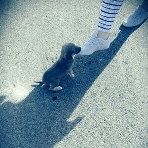 Meet your Posher, Ghizlane